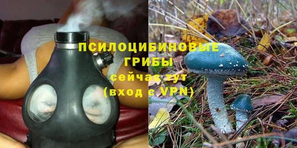 амф Абинск