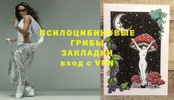 спиды Алзамай