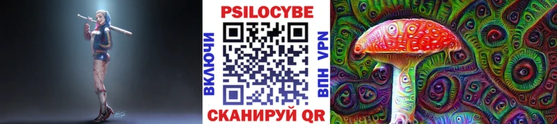 кракен tor  Чкаловск  Псилоцибиновые грибы Cubensis 